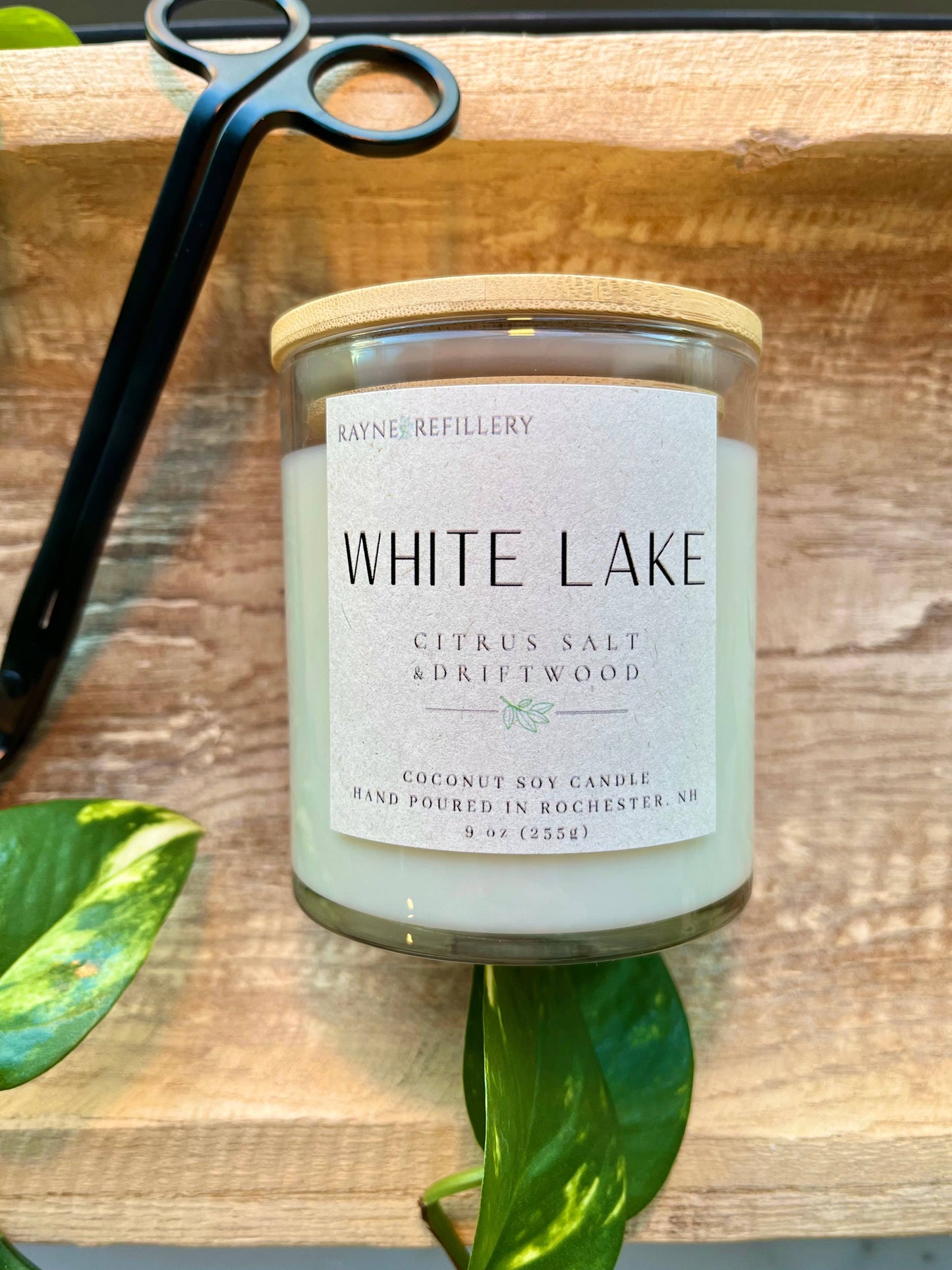 The Concord Vessel - Coconut Soy Wax Candle: White Birch