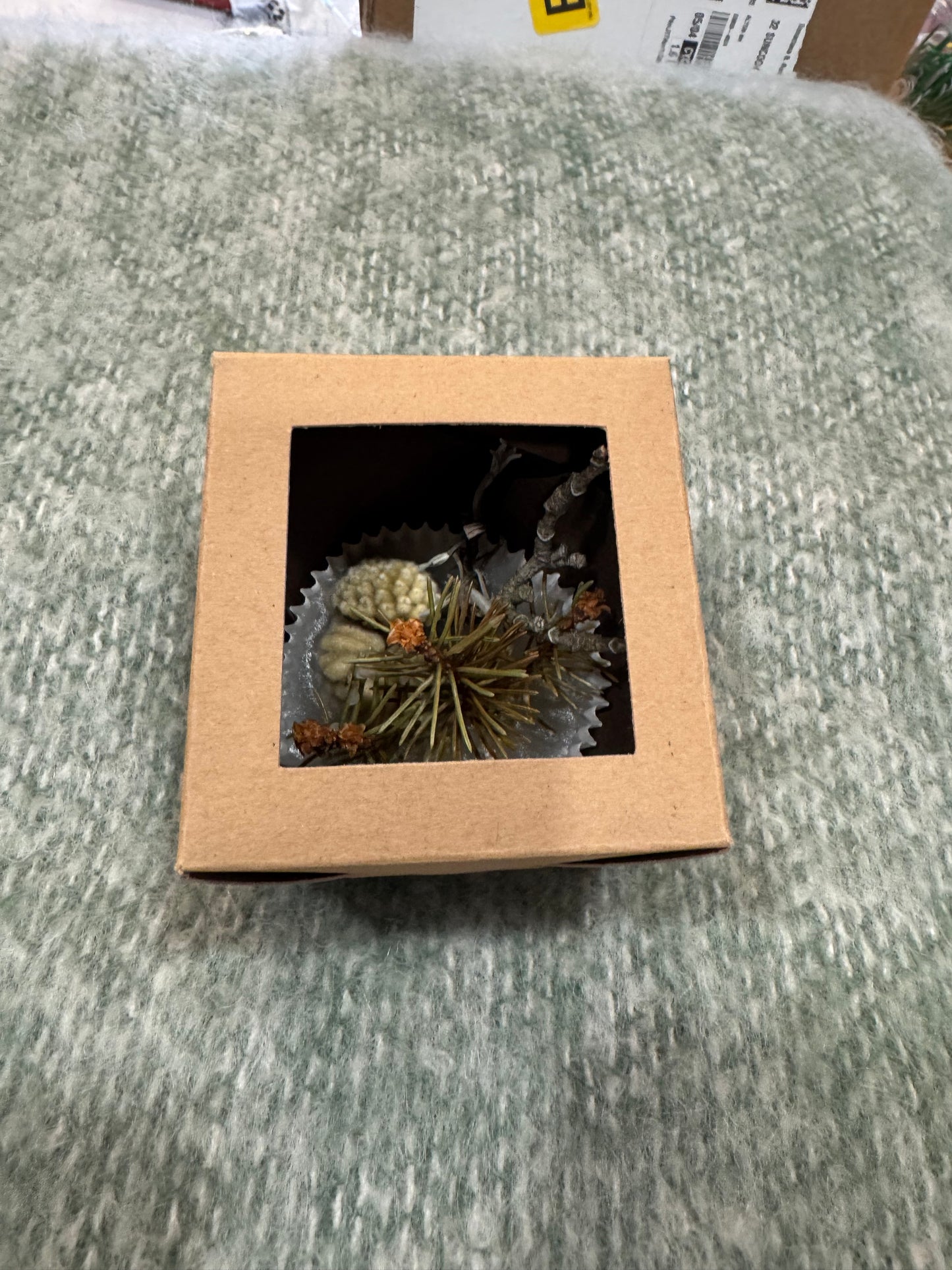 Fire Starter - Unscented