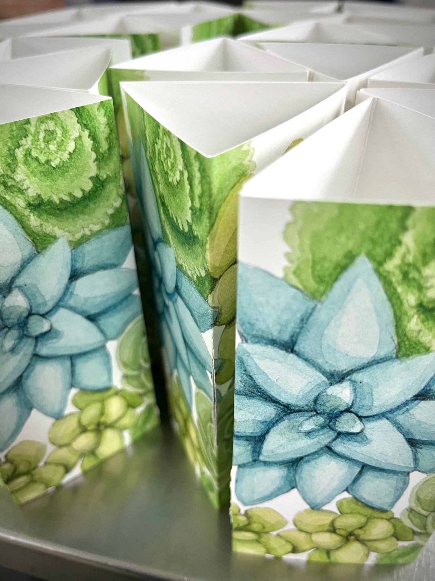NEW Succulent Terrarium | friendship gift