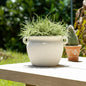 Decorative Jug Planter - White Stoneware Garden, 10 in.