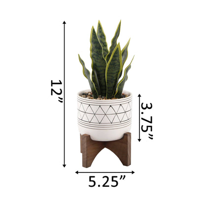 Faux Snake Plant in Ceramic Pot with Wood Stand, 12"