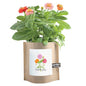 Garden in a Bag Thank You | Best Seller | Appreciation Gift