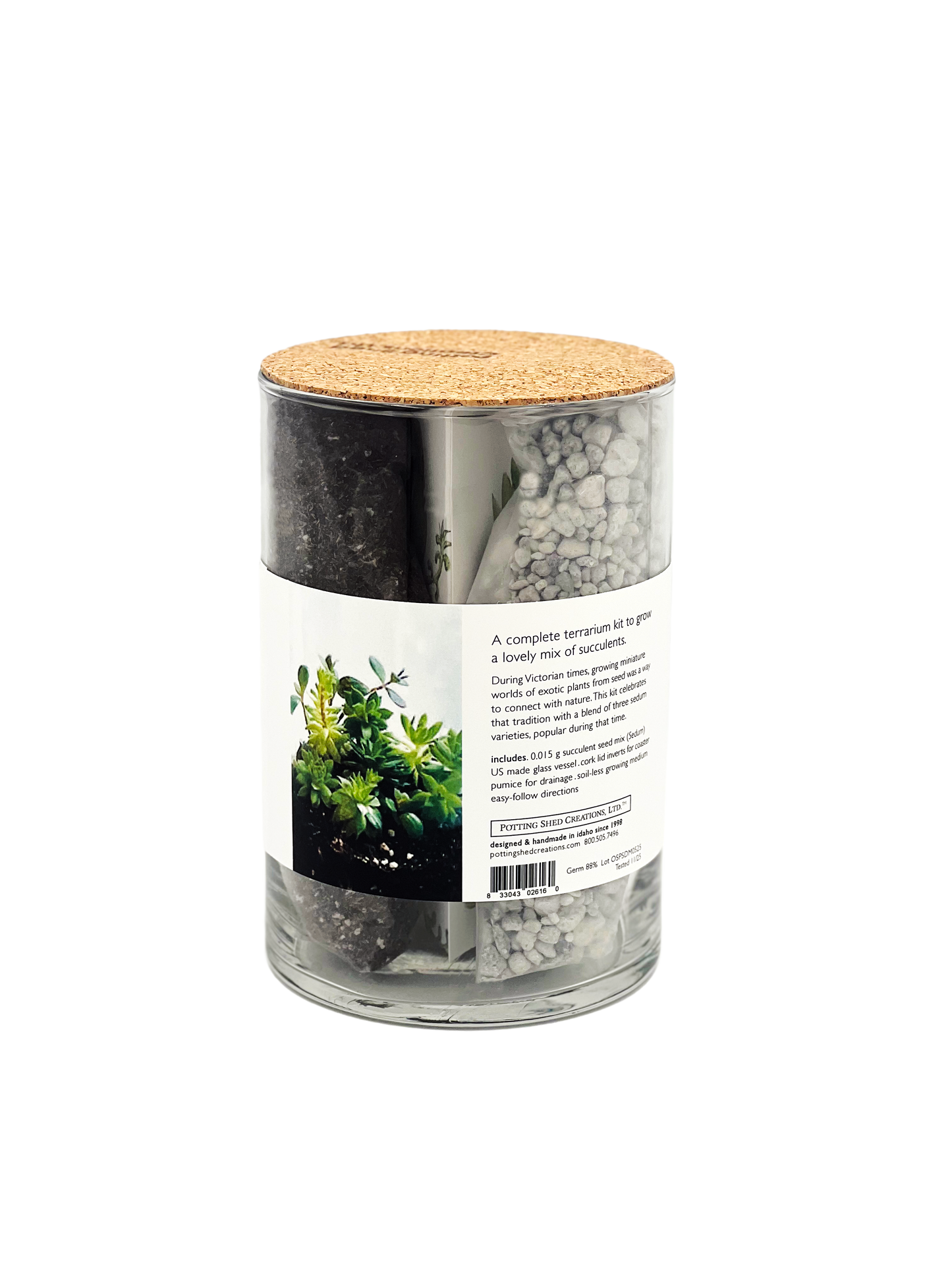 NEW Succulent Terrarium | friendship gift