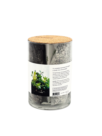 NEW Succulent Terrarium | friendship gift