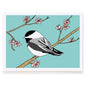 Chickadee