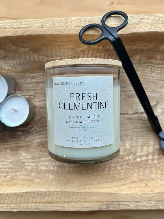 The Concord Vessel - Coconut Soy Wax Candle: White Birch