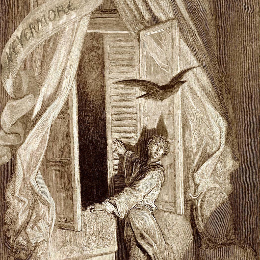 Nevermore Edgar Allan Poe The Raven Illustration Print