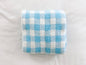 Gingham Plush Blanket