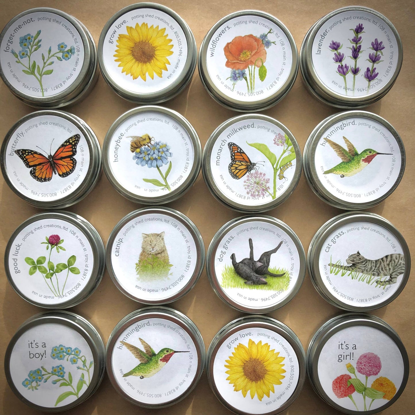 Garden Sprinkles - Hummingbird