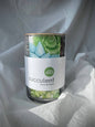 NEW Succulent Terrarium | friendship gift