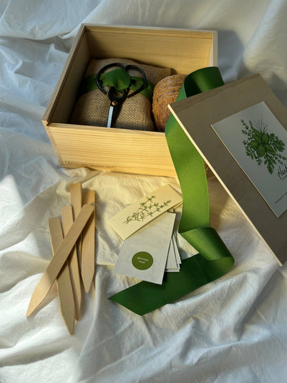 NEW Culinary Herb Garden Box | Mother's Day | Spring