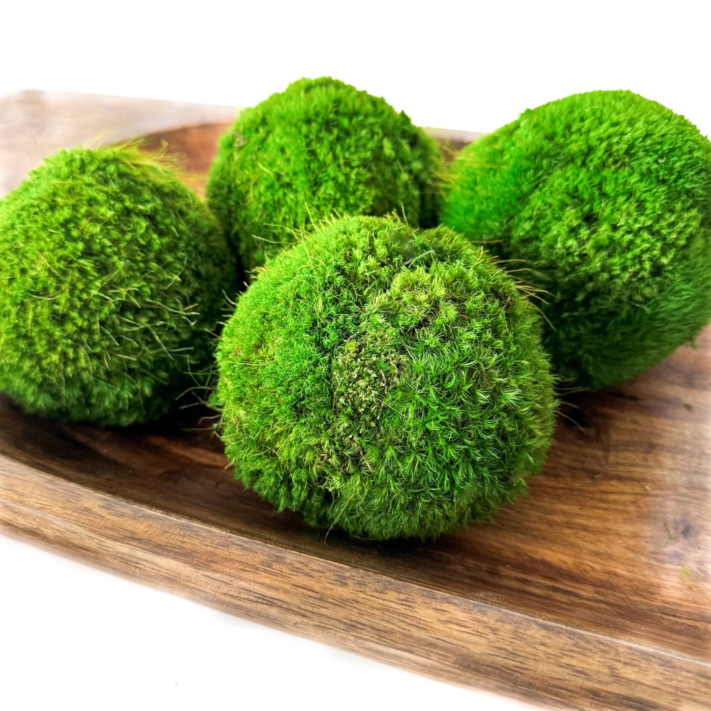 4'' Small Preserved Moss Ball