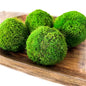 4'' Small Preserved Moss Ball