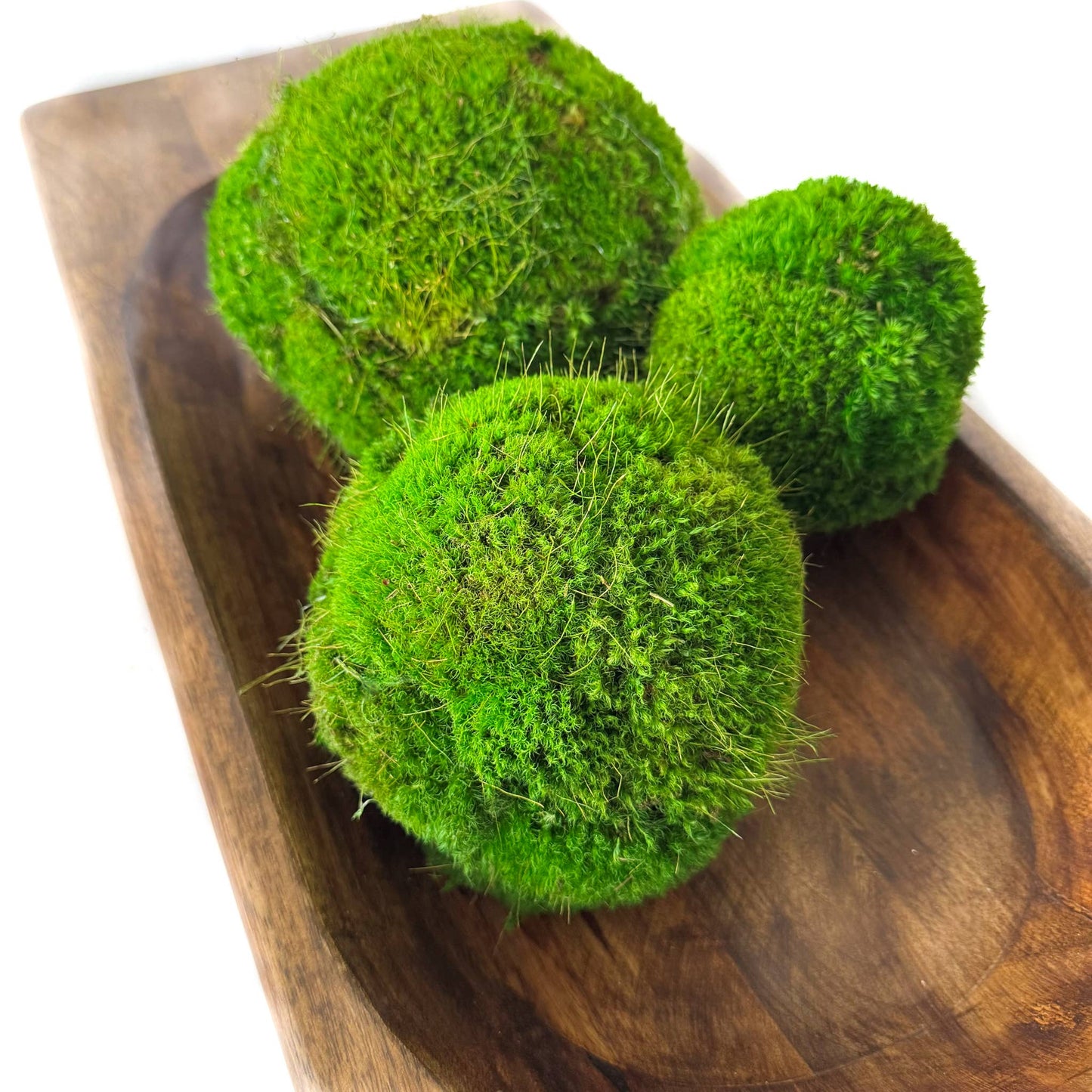 4'' Small Preserved Moss Ball