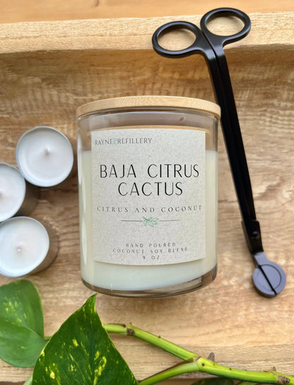 The Concord Vessel - Coconut Soy Wax Candle: White Birch