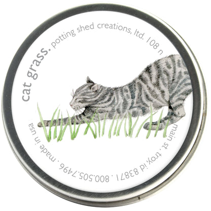 Catnip seedlings in tin can