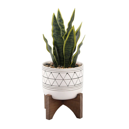 Faux Snake Plant in Ceramic Pot with Wood Stand, 12"