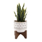 Faux Snake Plant in Ceramic Pot with Wood Stand, 12"