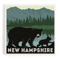 CERAMIC COASTER New Hampshire, Bears Lake & Mountain